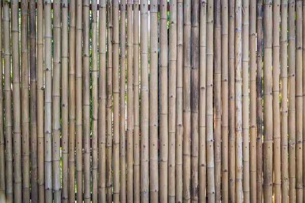 Nature Bamboo Fence Background — Stock Photo, Image