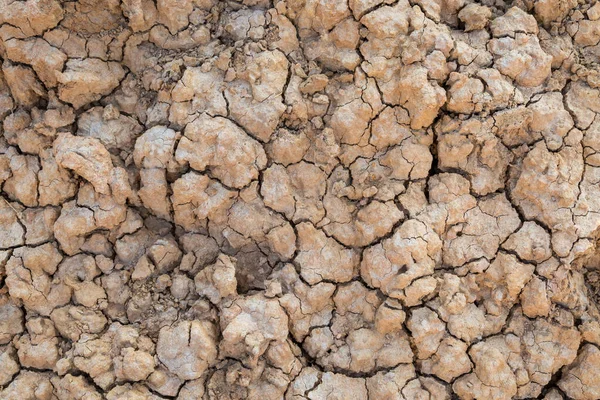 Background Dry Cracked Soil Drought Environment — Stock Photo, Image