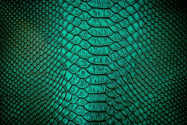 Close up of green Luxury snake skin texture use for background