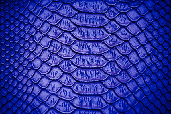 Közelkép Kék Luxus Kígyó Bőr Textúra Használata Háttér — Stock Fotó