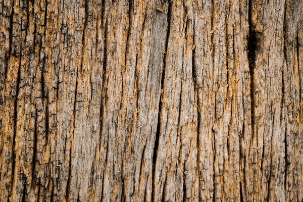 Oud Hout Textuur Gebruik Voor Achtergrond — Stockfoto