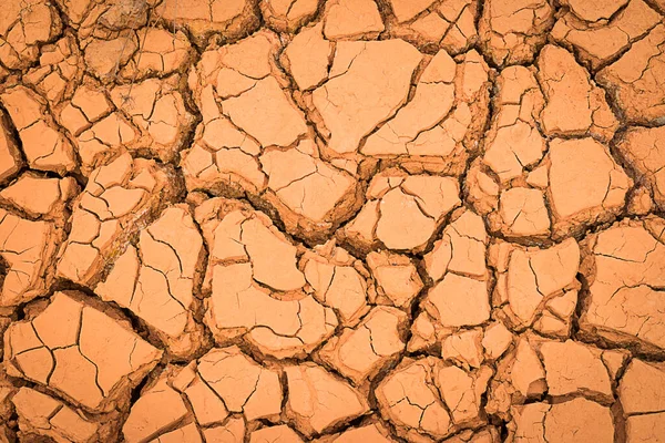 乾燥期のき裂土 き裂土 全球温暖化効果の背景 — ストック写真
