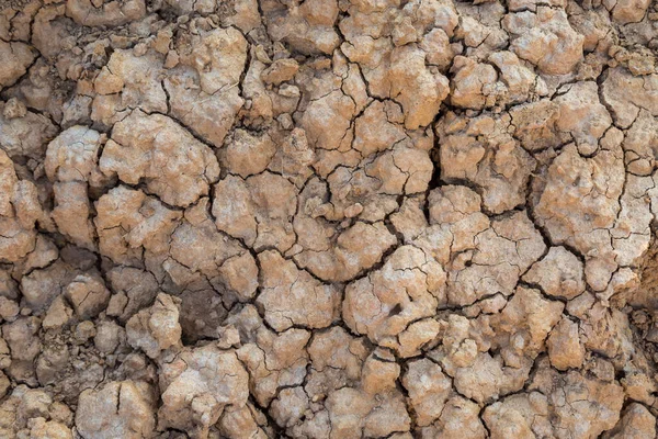 Fondo Terreno Crepato Secco Durante Ambiente Siccità — Foto Stock