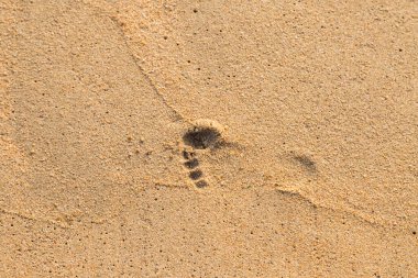Sahilde çocuğun ayak izleri var.