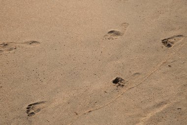 Sahilde baba ve çocuğun ayak izleri var.