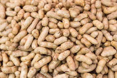 Kabuklu bir sürü fıstık arka plan için kullanılır.