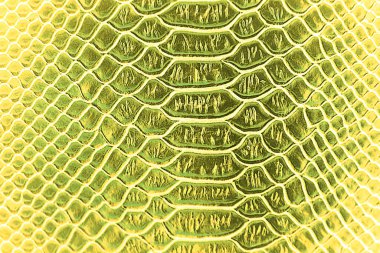 Arkaplan için soyut lüks yılan derisi dokusu kullanımını kapat