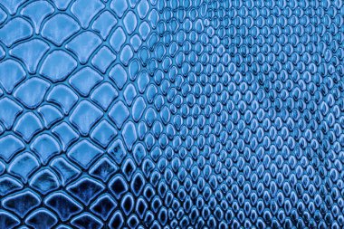 Duvar kağıdı olarak mavi egzotik yılan derisi deseni
