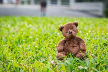 Kahverengi ayıcık arka planda tek başına oturuyor.
