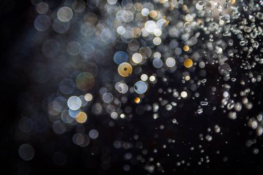 Su sineği bokeh ve arka plan ışık