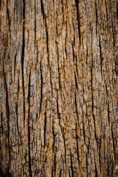 Viejo Uso Textura Madera Para Fondo — Foto de Stock