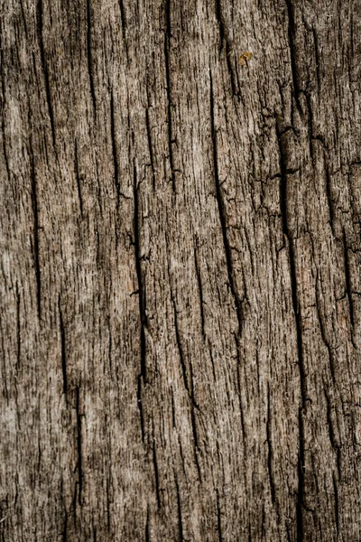 Vecchio Legno Texture Uso Sfondo — Foto Stock
