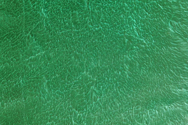 Beautiful Sparkling Artificial Green Fur Texture Background — Stock Photo, Image