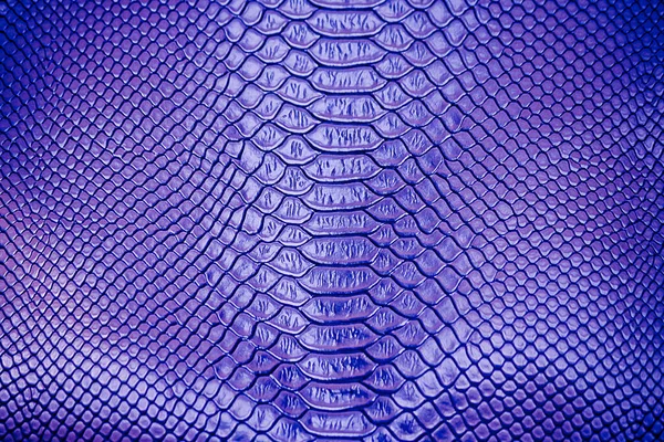 Primer Plano Azul Uso Textura Piel Serpiente Lujo Para Fondo —  Fotos de Stock