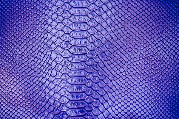 Gros Plan Bleu Utilisation Texture Peau Serpent Luxe Pour Fond — Photo