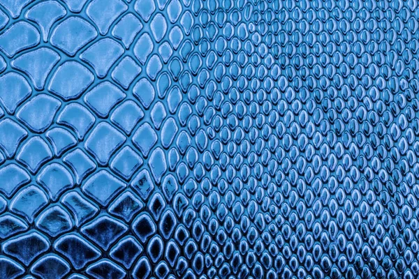 青いエキゾチックなヘビの皮膚のパターン — ストック写真