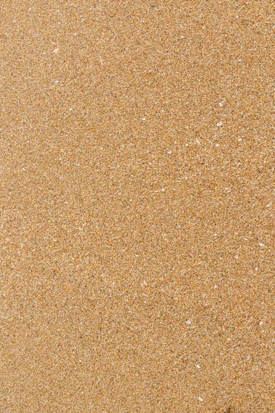 Крупный План Текстуры Мокрого Песка Пляже Летом — стоковое фото