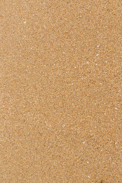 Primo Piano Del Modello Texture Sabbia Bagnata Sulla Spiaggia Estate — Foto Stock