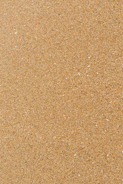 Primo Piano Del Modello Texture Sabbia Bagnata Sulla Spiaggia Estate — Foto Stock