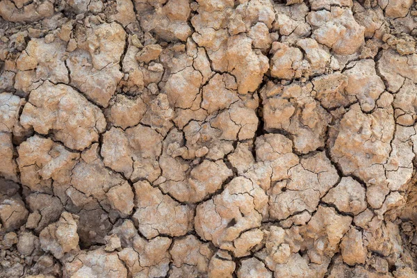 Hintergrund Des Trockenen Rissigen Bodens Während Der Trockenheit — Stockfoto