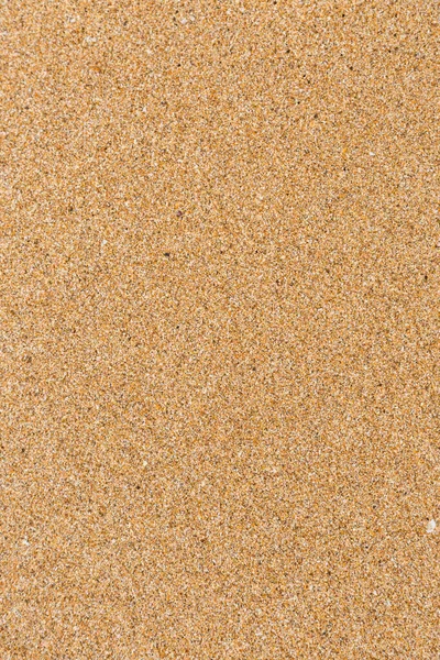 Primo Piano Del Modello Texture Sabbia Bagnata Sulla Spiaggia Estate — Foto Stock