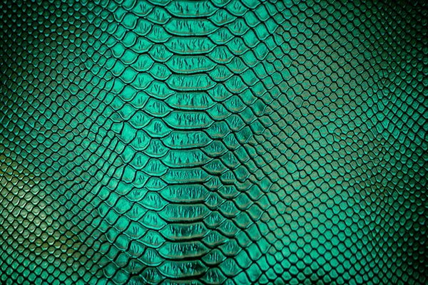 Close Verde Textura Pele Cobra Luxo Use Para Fundo — Fotografia de Stock