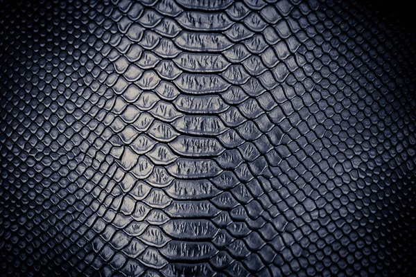 Luxury Snake Skin Texture Use Background — Stock Photo, Image
