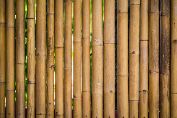 Nature Bamboo Fence Background — Stock Photo, Image