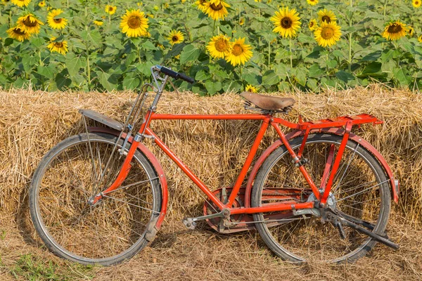 Klasyczny Czerwony Rower Tłem Słonecznika — Zdjęcie stockowe