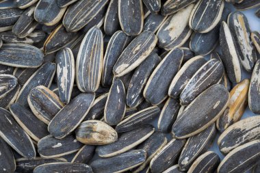 Güneş çiçek tohumları arka plan