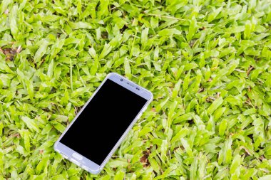 Yeşil çimen arka planında akıllı telefon