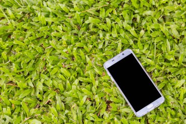 Yeşil çimen arka planında akıllı telefon