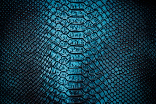 Arkaplan için yeşil deri dokusu