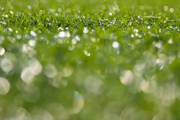 Bokeh Groen Gras Natuur Achtergrond — Stockfoto