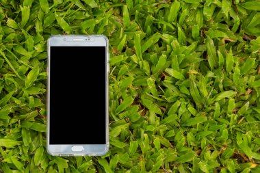 Yeşil çimen arka planında akıllı telefon