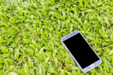 Yeşil çimen arka planında akıllı telefon