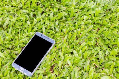 Yeşil çimen arka planında akıllı telefon