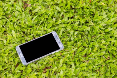 Yeşil çimen arka planında akıllı telefon