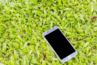 Yeşil çimen arka planında akıllı telefon