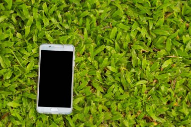 Yeşil çimen arka planında akıllı telefon