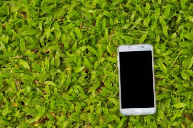 Yeşil çimen arka planında akıllı telefon