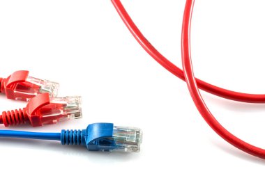 Ağ internet kablosu beyaz arkaplanda izole edildi