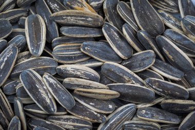 Güneş çiçek tohumları arka plan