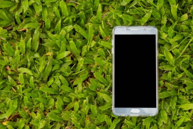 Yeşil çimen arka planında akıllı telefon