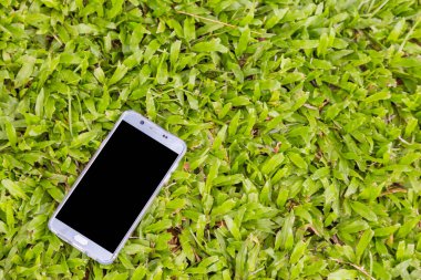 Yeşil çimen arka planında akıllı telefon