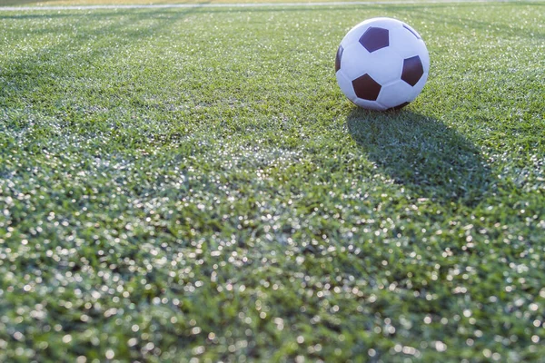 Voetbal Voetbal Groene Gras Achtergrond — Stockfoto