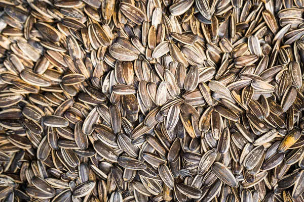 Fresh Organic Sunflower Seed Use Background — Stock Photo, Image