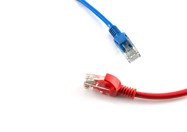 Cable Internet Red Aislado Sobre Fondo Blanco — Foto de Stock