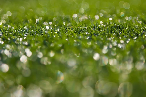 Bokeh Verde Erba Natura Sfondo — Foto Stock