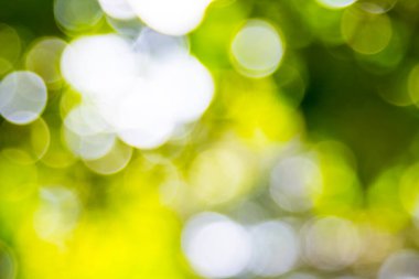 Özet doğal yeşil bokeh odak arkaplanı dışında
